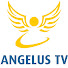 i4pd_nK4s9Q-channel-avatar-Angelus Tv