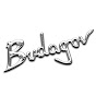 Budagov music בודגוב כלי נגינה