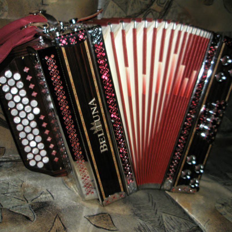 Polka Maestre