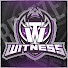 ECnEgm1zU9U-channel-avatar-WitnessGaming