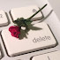 Az2cmnxCT3g-channel-avatar-Synthetic Rose
