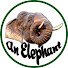2bx0WiQA-Ds-channel-avatar-an elephant