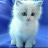 @anakhaj326 Avatar