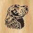 ty3RzgvwwaU-channel-avatar-Alex Fox
