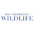 wgxq_DlRzXs-channel-avatar-Ray Hennessy