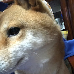小原もなか