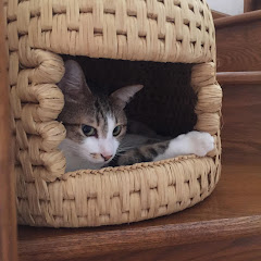 みっきー