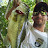 @bamabassgrabber Avatar
