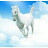 @whitehorse105
