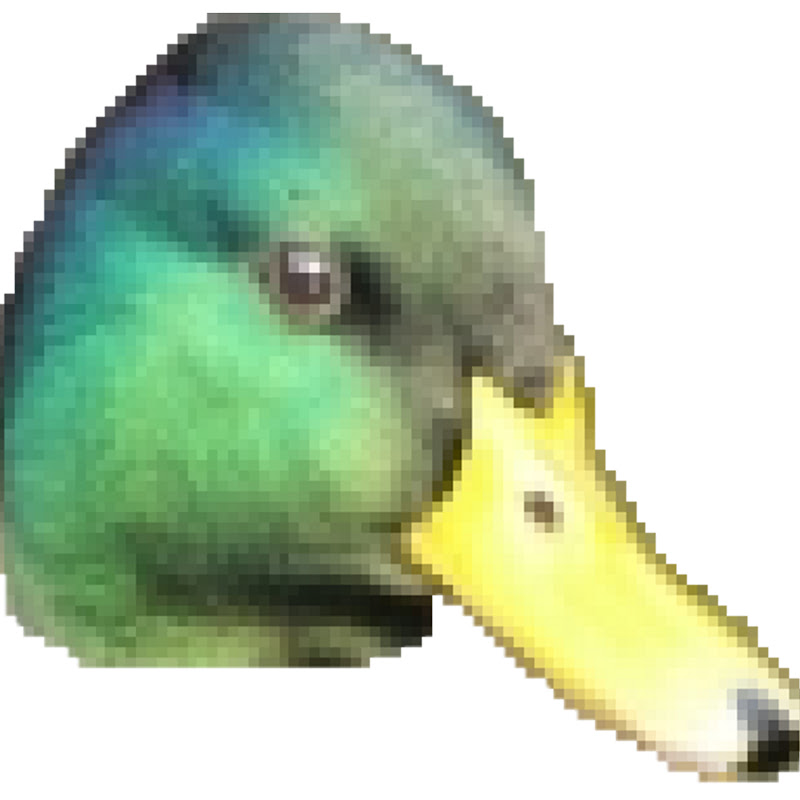 MemesNation