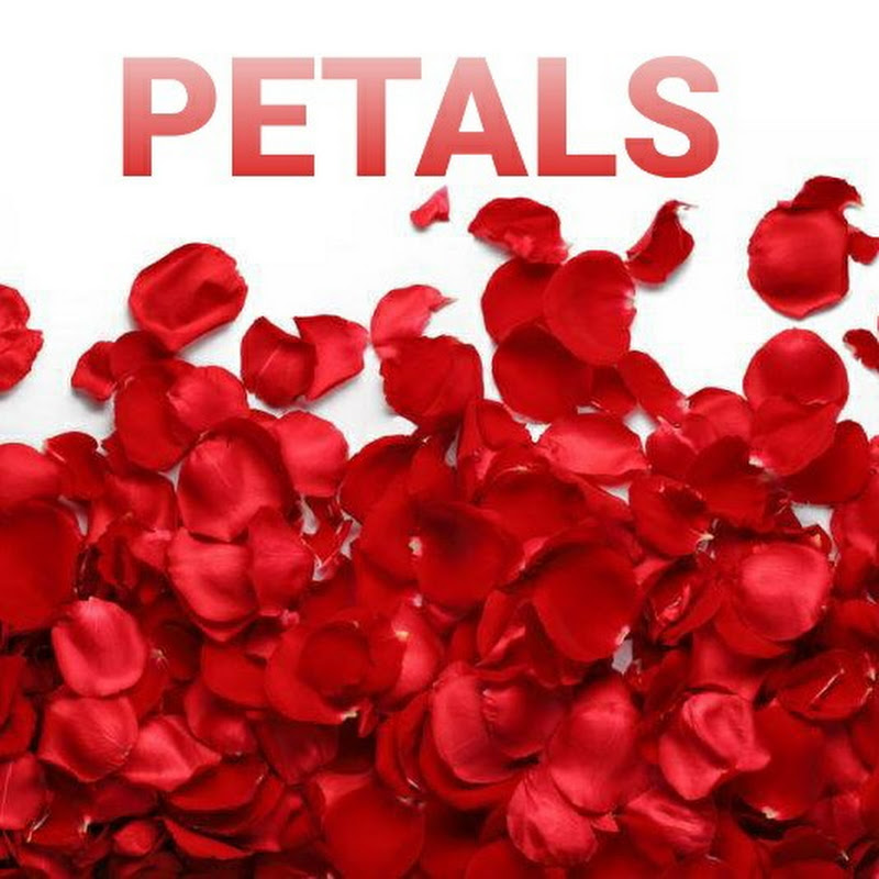 PETALS simple and best