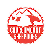 Churchmount Sheepdogs