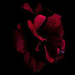 Mila Ivanovna Official channel