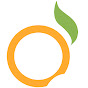 Citrus Consulting Services logo