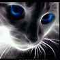 Dunia Kucing kampung Image Thumbnail