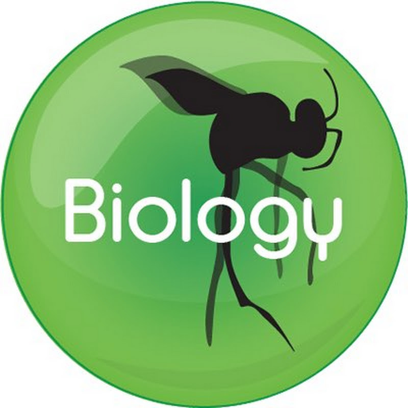 Biology Concepts