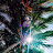 youtube avatar
