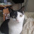 @user-threecat