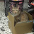 youtube avatar