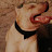 avatar of @nav5897
