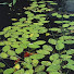 obnEU4rzmdM-channel-avatar-VTDEC Watershed Management Division