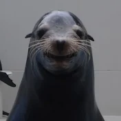 いちご♪