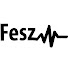 NkxLXQ32GDQ-channel-avatar-FesZ Electronics