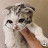 @바니당근2