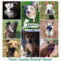 Peach County Animal Rescue logo