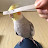 @MaisuBirb