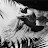 @shun6039 Avatar