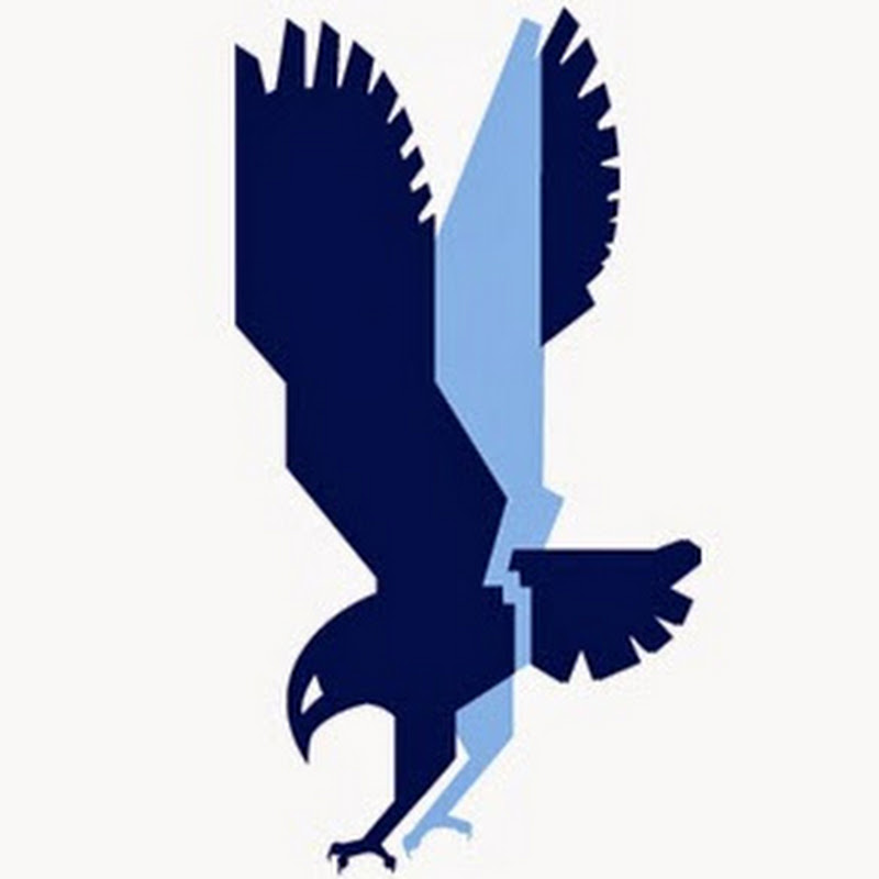 Hawk Training