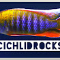 Cichlid Rocks logo