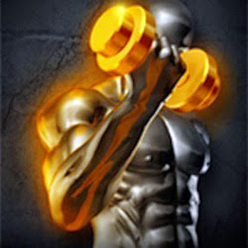 BestinBodyBuilding