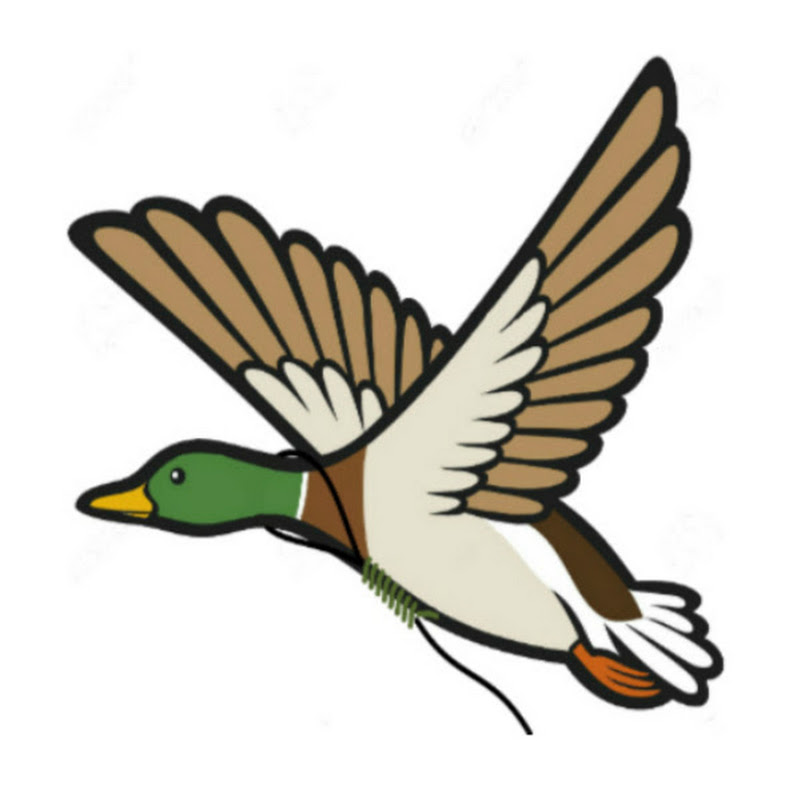 Suicide Goose icon