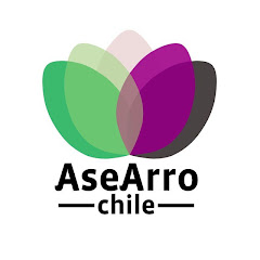 AseArroChile