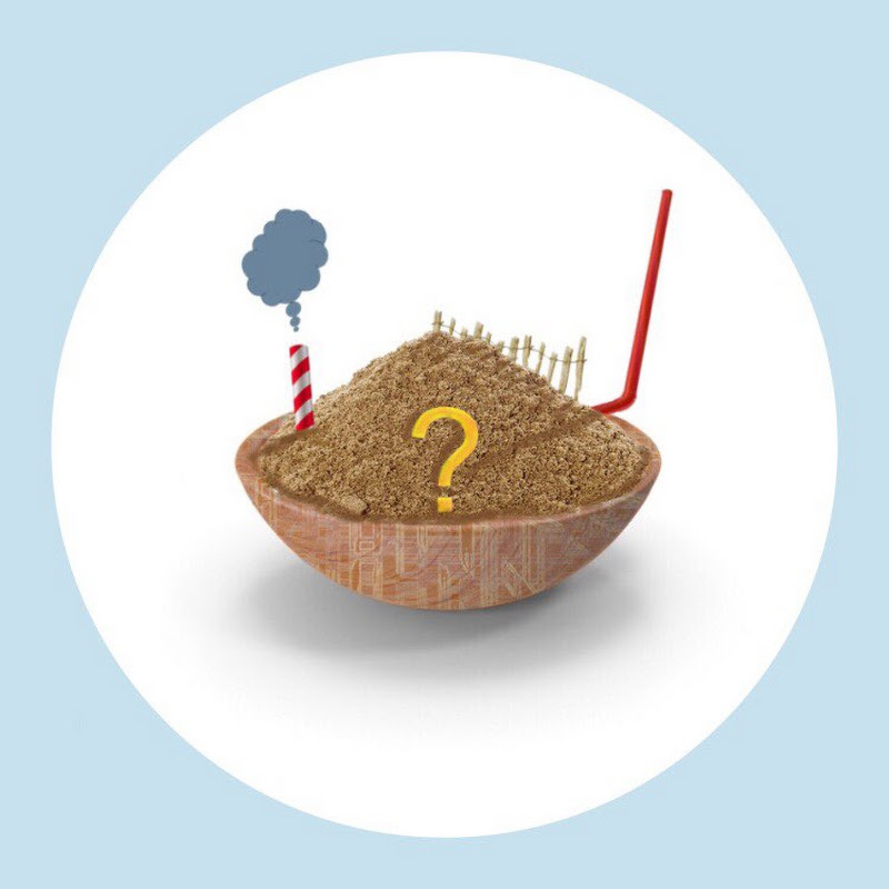 rye - chip icon