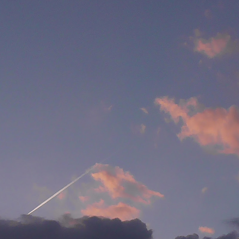 Aidro nnhca11r8a2 nwjyu3f8gsd9zrzlnk0ulmml5xxbzprg=s800 c k c0x00ffffff no rj