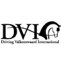 Driving Valkenswaard International logo