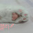 @user-lc1tg8pn5j