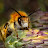 Смотрите все видео канала «Мир пчеловодства» apiworld.ru