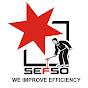 SEFSO INDIA logo