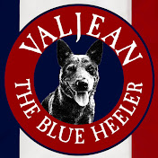 Valjean The Blue Heeler
