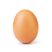 The Daily Egg