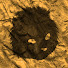 UV3EI6VZLMM-channel-avatar-Granditamias