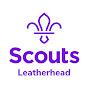 Leatherhead District logo