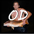 IpyNVwvHtl4-channel-avatar-On Daddy Fishing