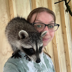 Chelsea Palmer net worth