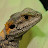 @jdthompson8783's avatar