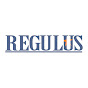 Regulus Investment & Capital Holdings logo